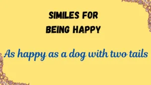 Read more about the article 25 +Best Similes for Being Happy: With Meaning and Examples