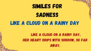 Read more about the article Similes for Sadness: With Meaning and Examples