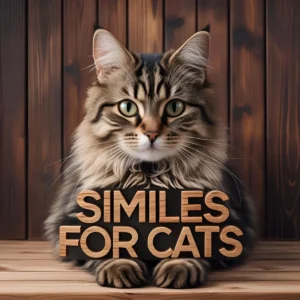 Read more about the article Similes for Cats: Purring with Poetic Flair 🐾
