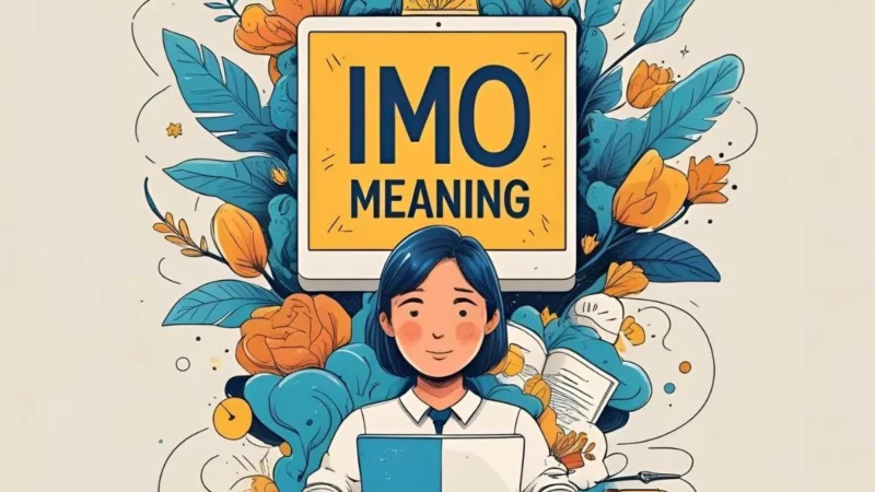 IMO Meaning