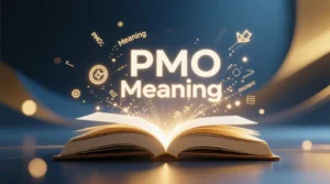 Read more about the article PMO Meaning: Slang, Text, and Business Explained
