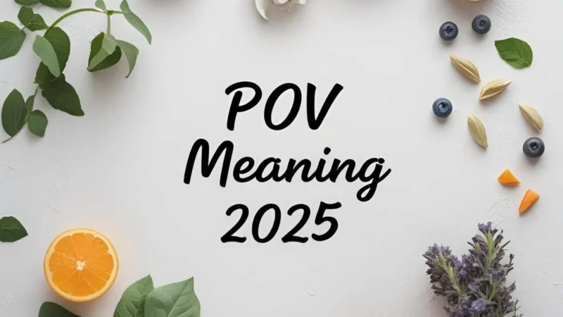 pov meaning 2025