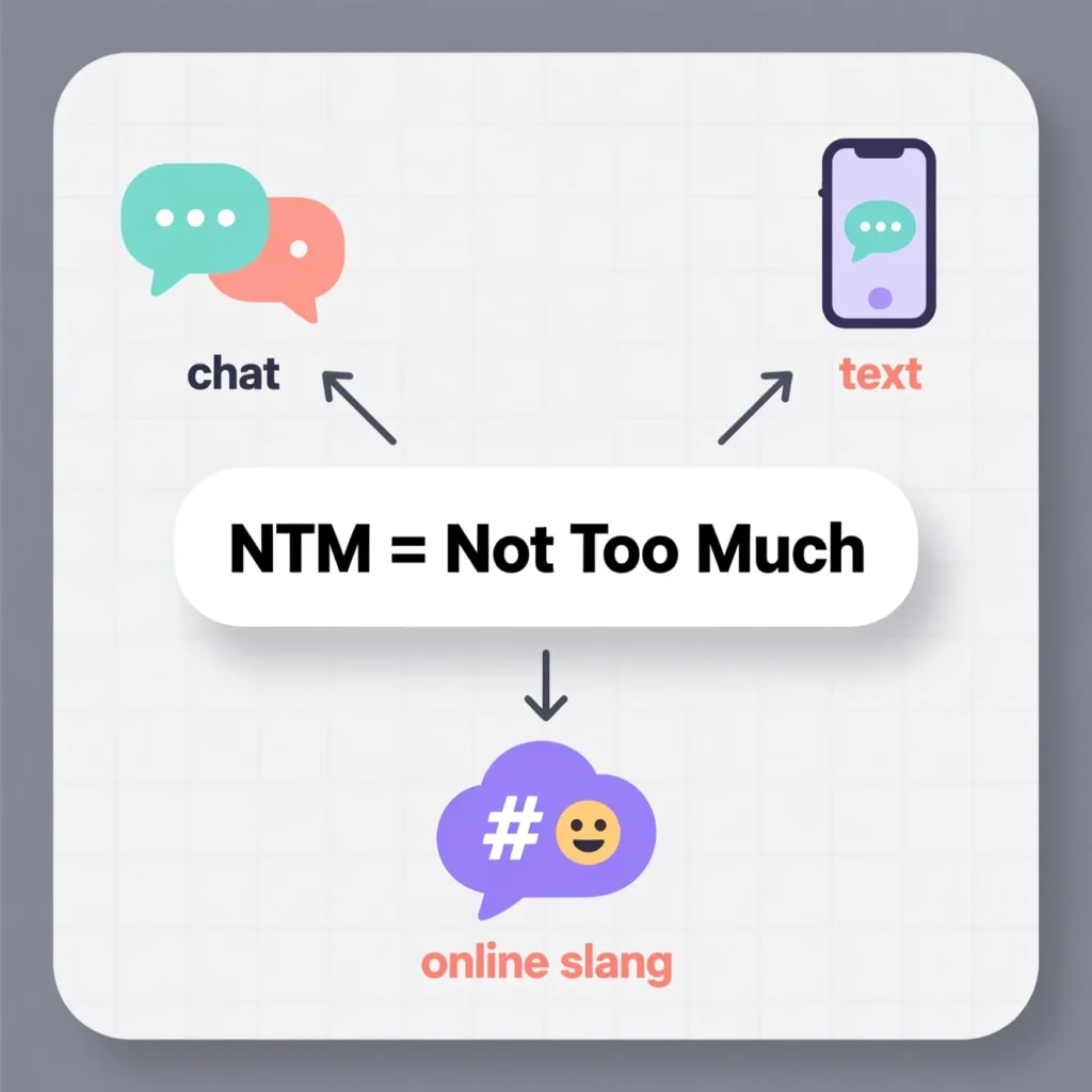 ntm meaning slang