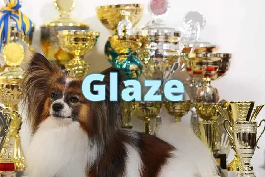 You are currently viewing Glaze Meaning Slang: The Ultimate 2025 Guide to Gen Z Expression
