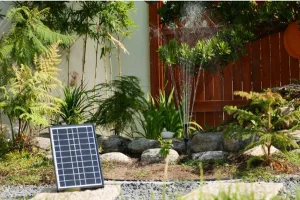 Read more about the article How Water Pumps for Solar Are Powering the Next Generation of Eco Gardens