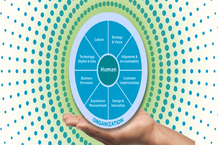 You are currently viewing Customer Experience Management (CXM): Framework, Strategy, and Core Metrics Explained
