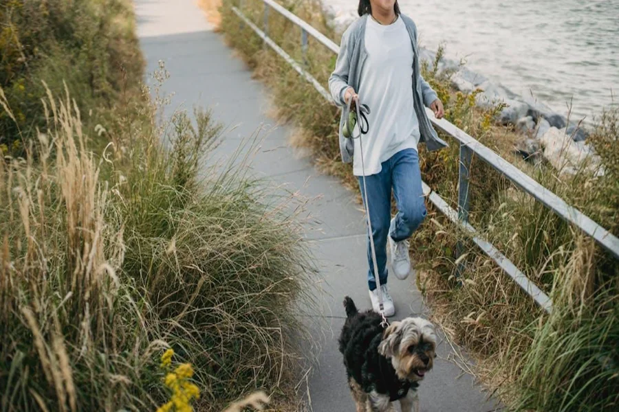 You are currently viewing Healthy As A Horse, Happy As A Dog: Fun Ways To Describe Canine Nutrition