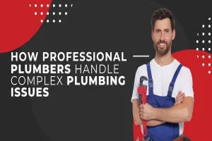 Read more about the article How Professional Plumbers Handle Complex Plumbing Issues