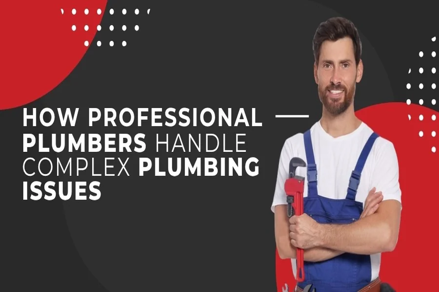 You are currently viewing How Professional Plumbers Handle Complex Plumbing Issues