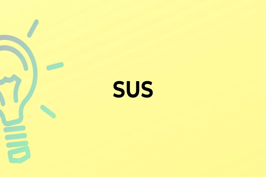 Sus Meaning in Chat