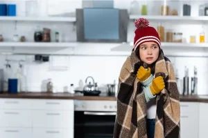 Read more about the article Common Furnace Problems Idaho Falls Homeowners Face During Winter