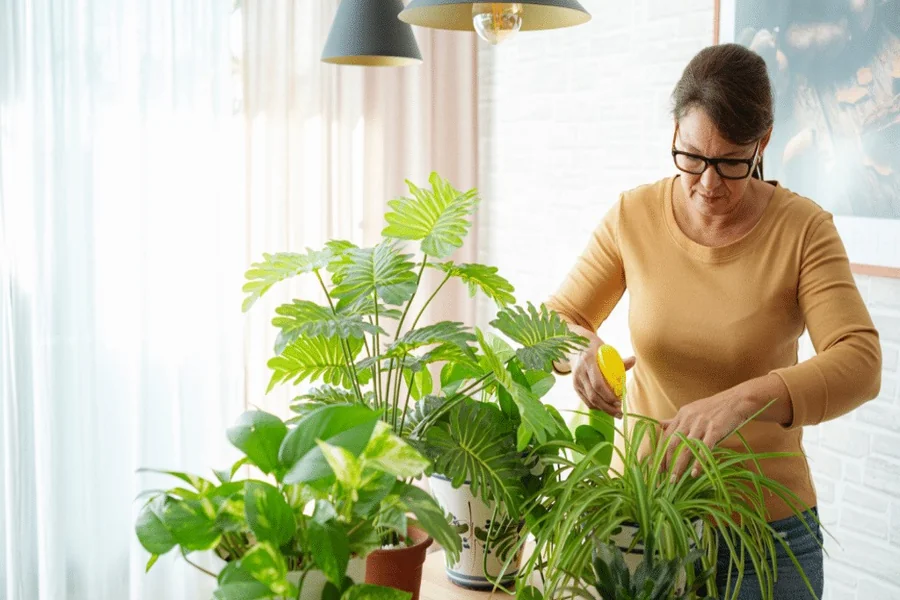 You are currently viewing How Artificial Plants Saved My Asthmatic Son’s Health