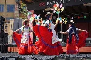 Read more about the article Significance of Joining Arts and Cultural Events across Summit County