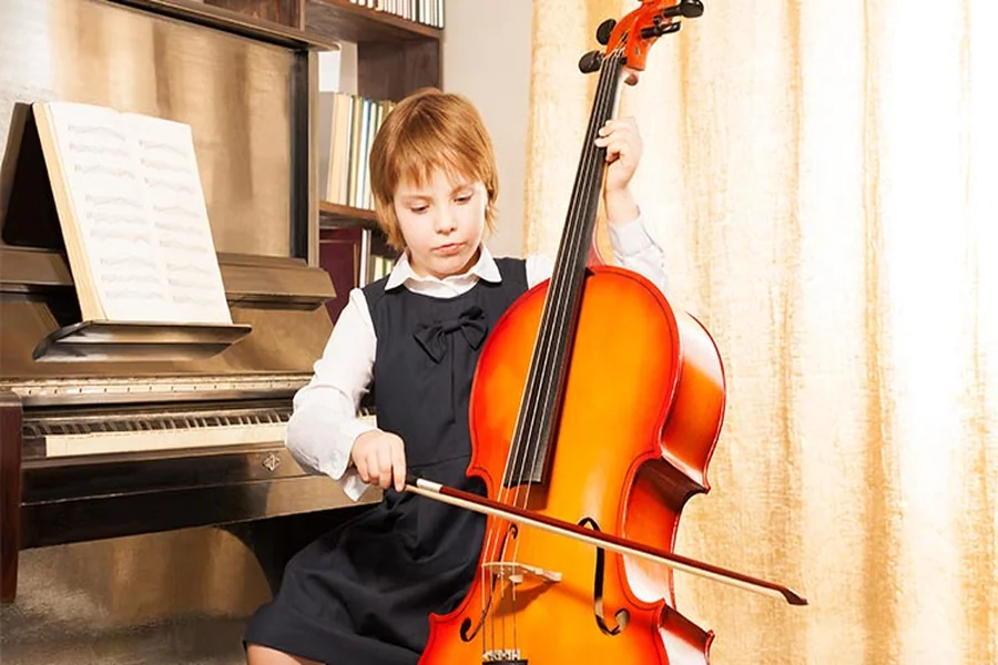 You are currently viewing Where Students Often Find Their First Cello