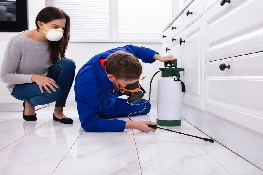 You are currently viewing What Steps Do Pest Control Professionals in Riverside Follow to Eliminate Infestations