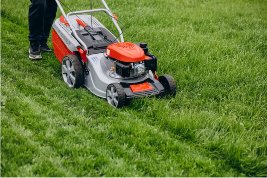 Lawn Services