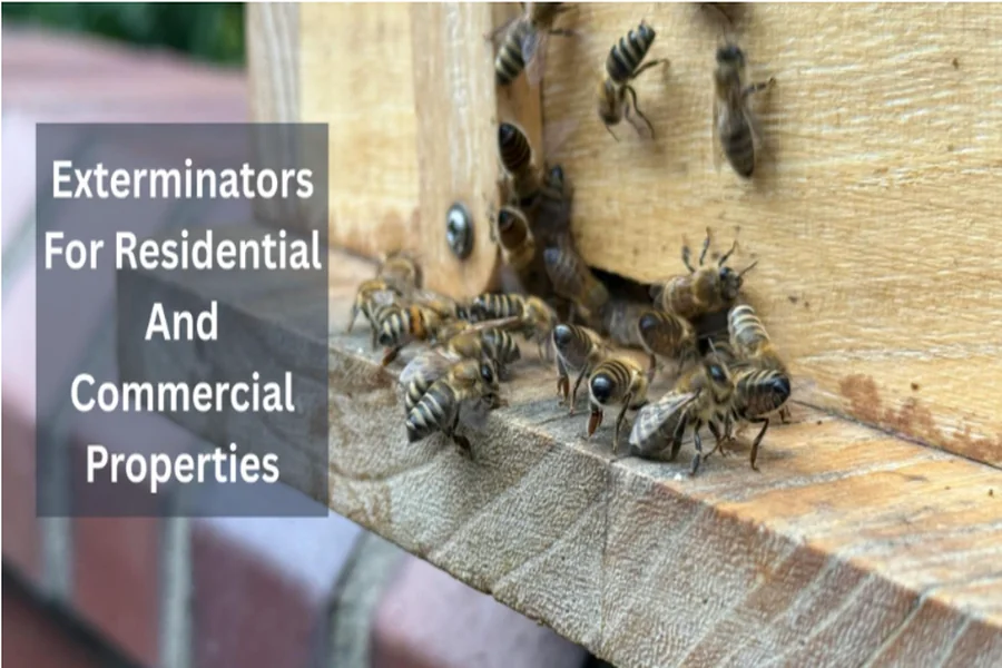 You are currently viewing Exterminators For Residential And Commercial Properties