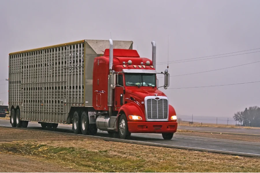 You are currently viewing Livestock and Cattle Trailers: Key Features to Look for When Buying