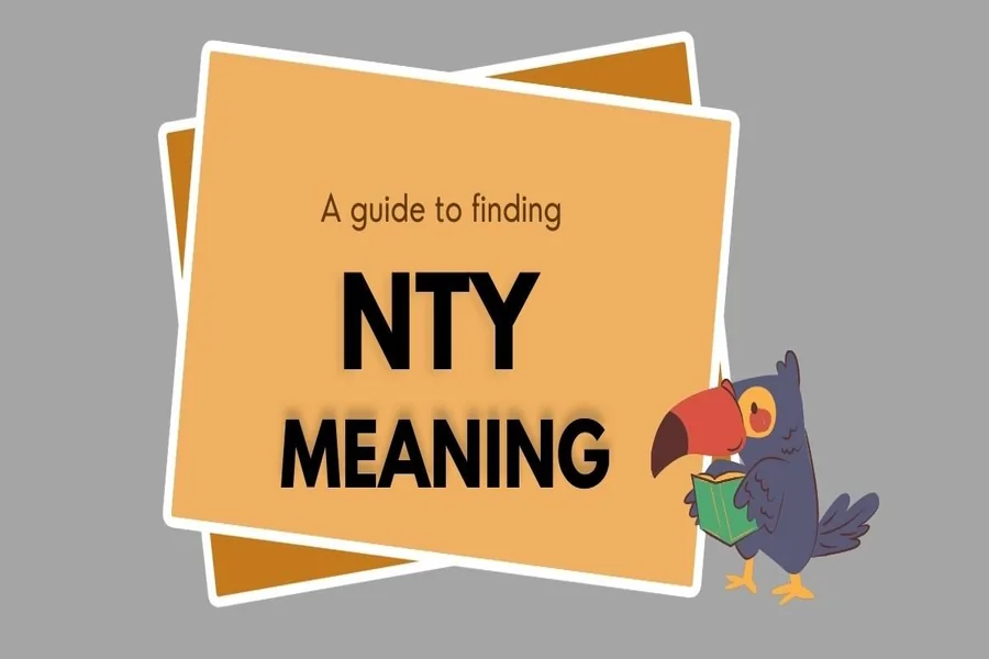 You are currently viewing NTY Meaning Explained – What This Popular Text Slang