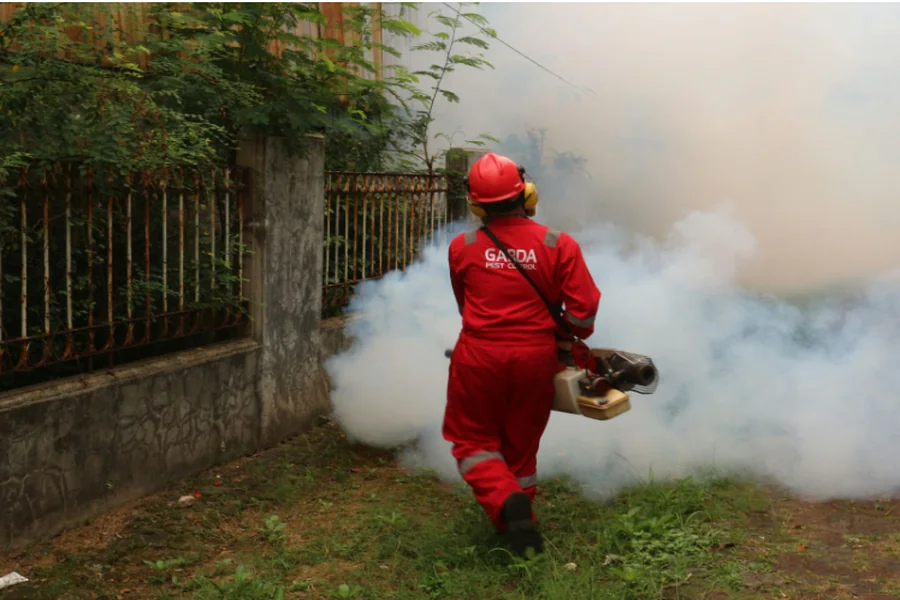 You are currently viewing Pest Control: Expert Services for Properties