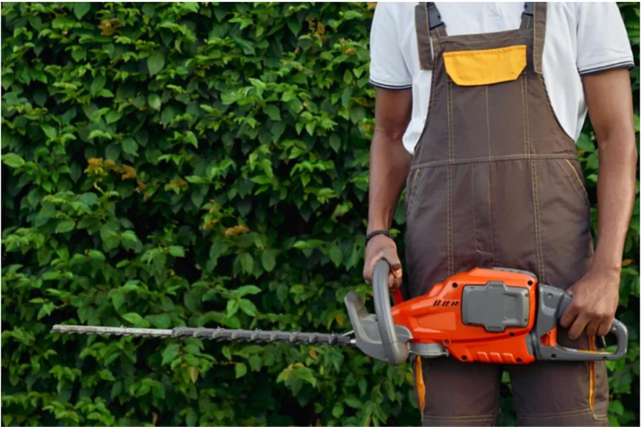 Lawn Services