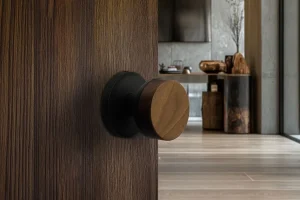 Read more about the article Smart Design Choices: Selecting Door Hardware for Today’s Interiors