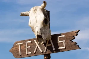 Read more about the article Texas Slang Explained – Meaning Origins and Everyday Usage