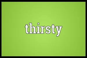 Read more about the article Thirsty Meaning Slang in Modern Conversations