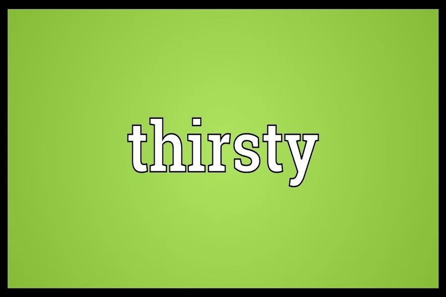 You are currently viewing Thirsty Meaning Slang in Modern Conversations