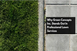 Read more about the article Why Green Concepts Inc. Stands Out In Professional Lawn Services