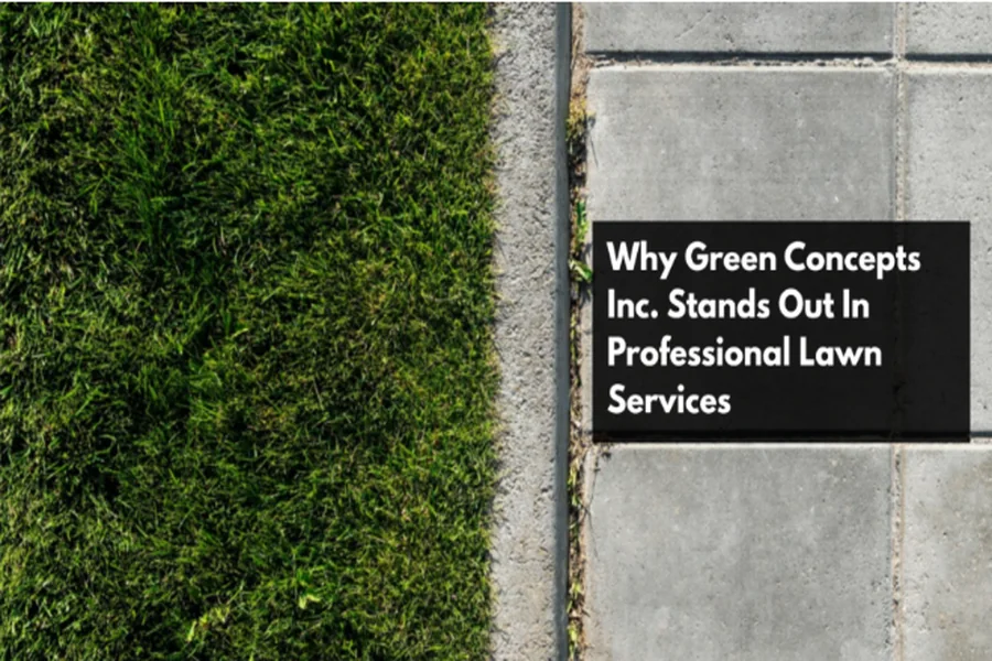 You are currently viewing Why Green Concepts Inc. Stands Out In Professional Lawn Services