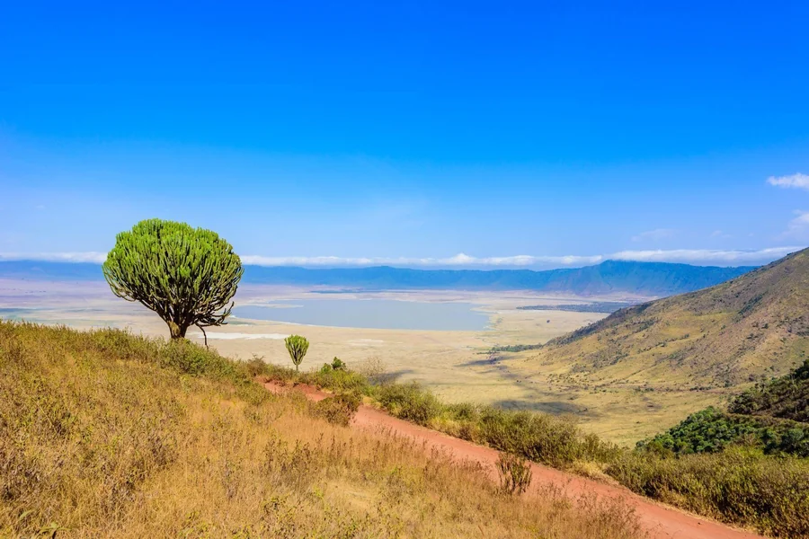 You are currently viewing A Day Inside Ngorongoro Crater: Real Wildlife Encounters