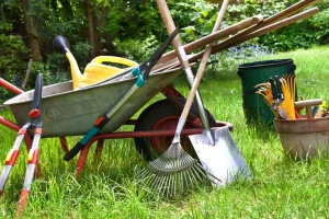 Read more about the article How to Choose the Right Garden Tools for Your Yard Size