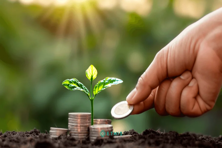 You are currently viewing How to Invest Little Money