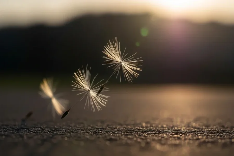 You are currently viewing The Astonishing Deep Meanings Behind Every Day Similes