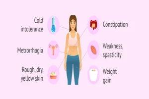 Read more about the article Understanding Hashimoto’s Thyroiditis
